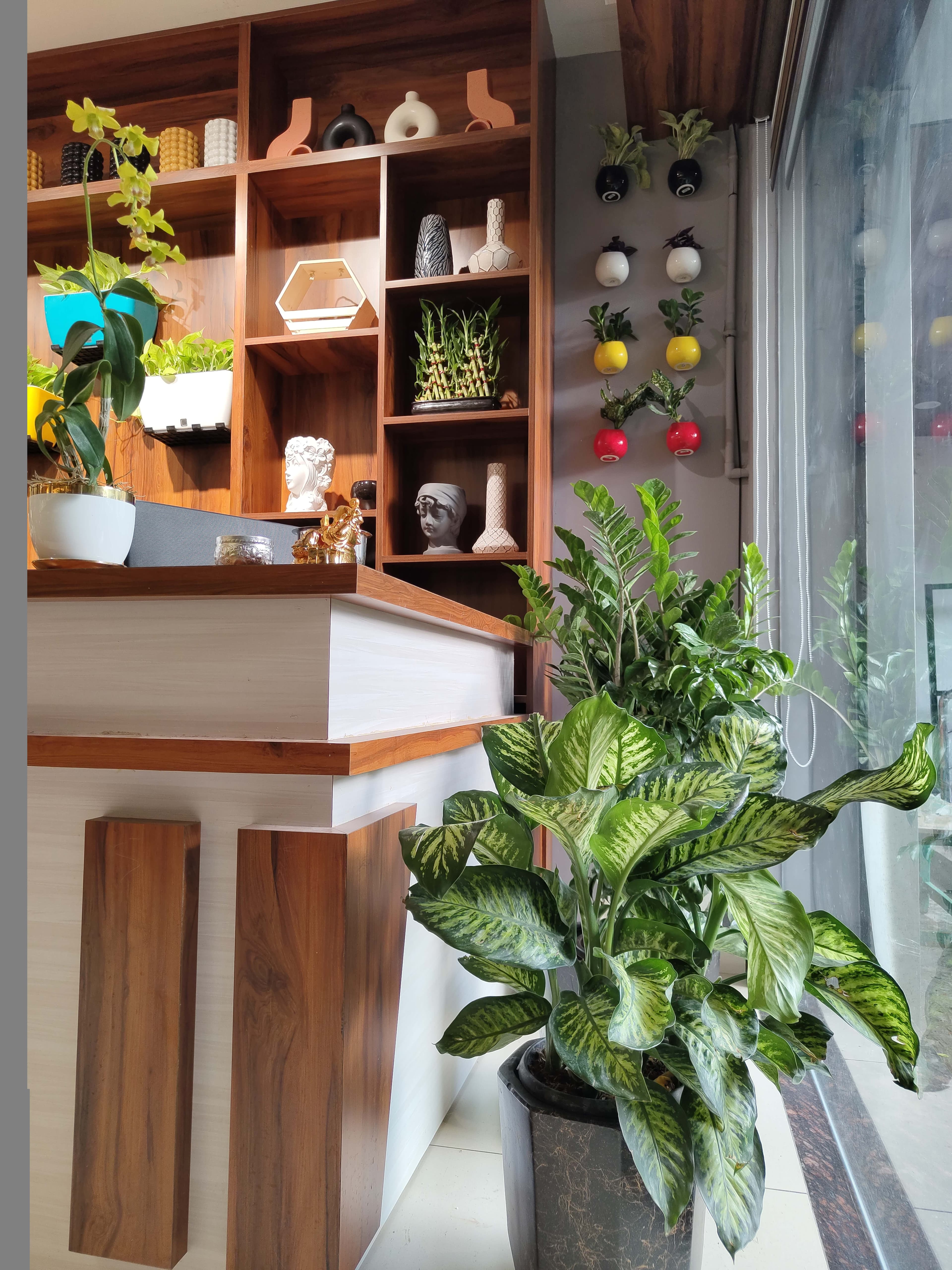 Grow Naturals 1