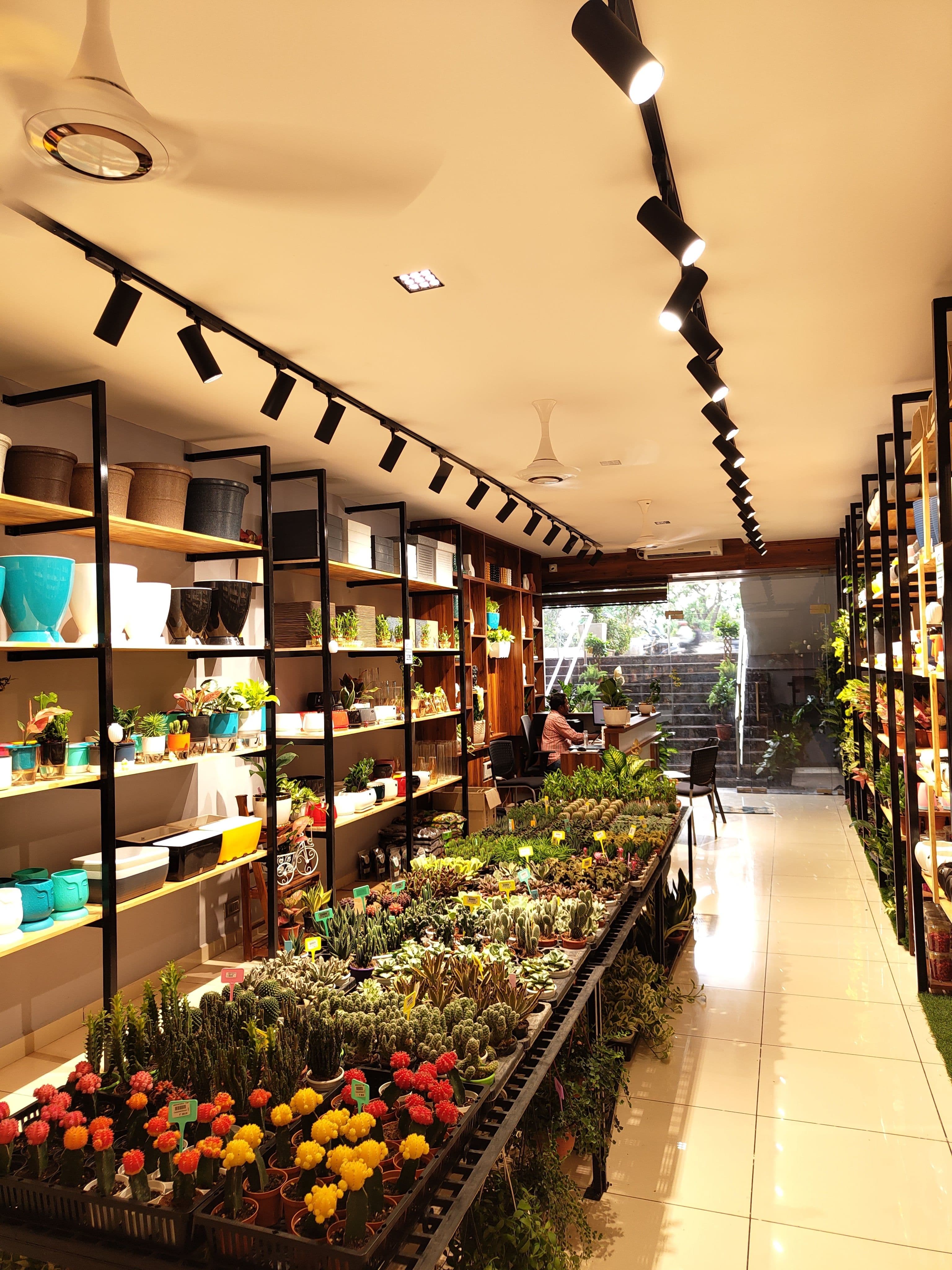 Grow Naturals 10