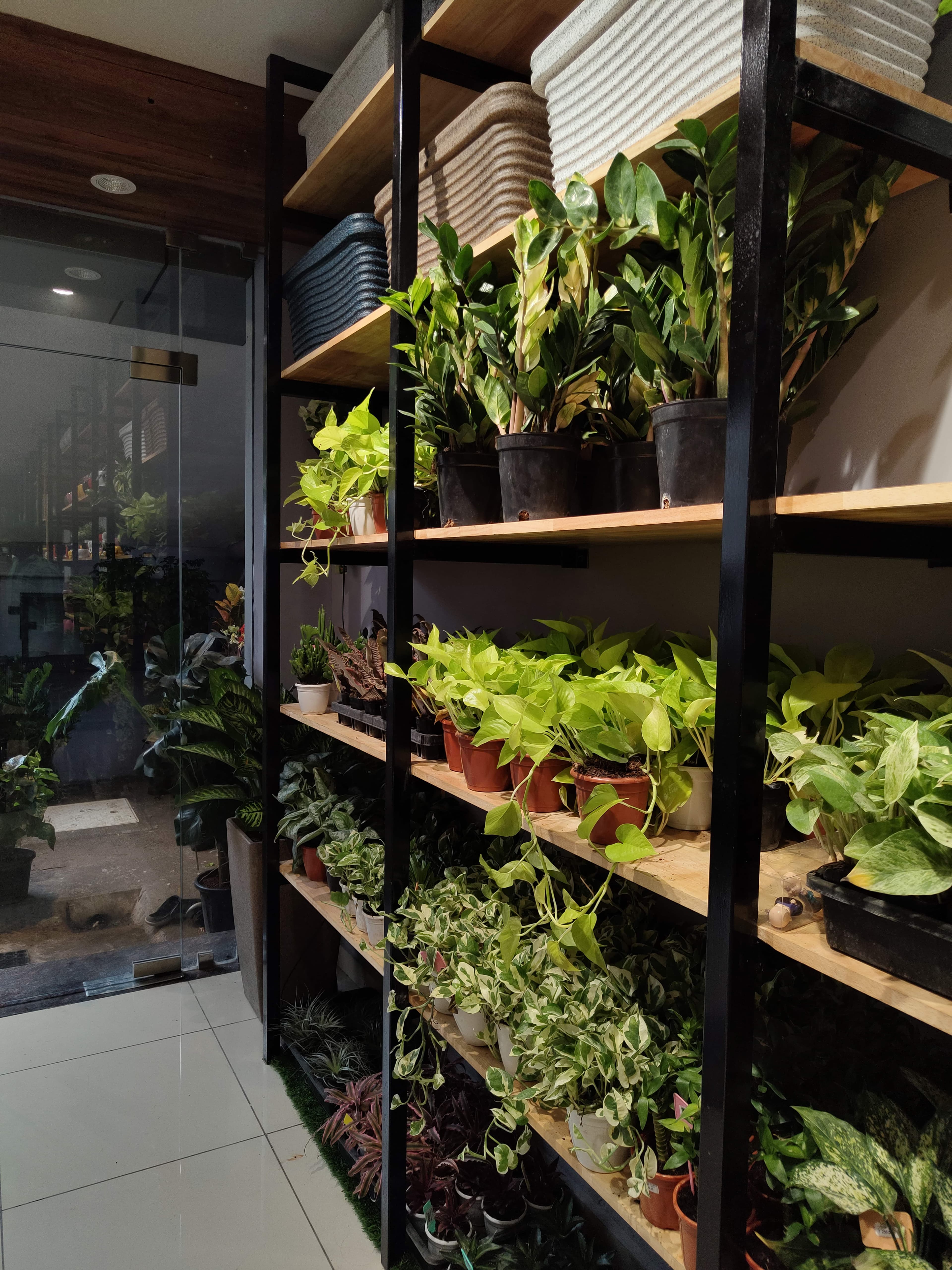 Grow Naturals 7